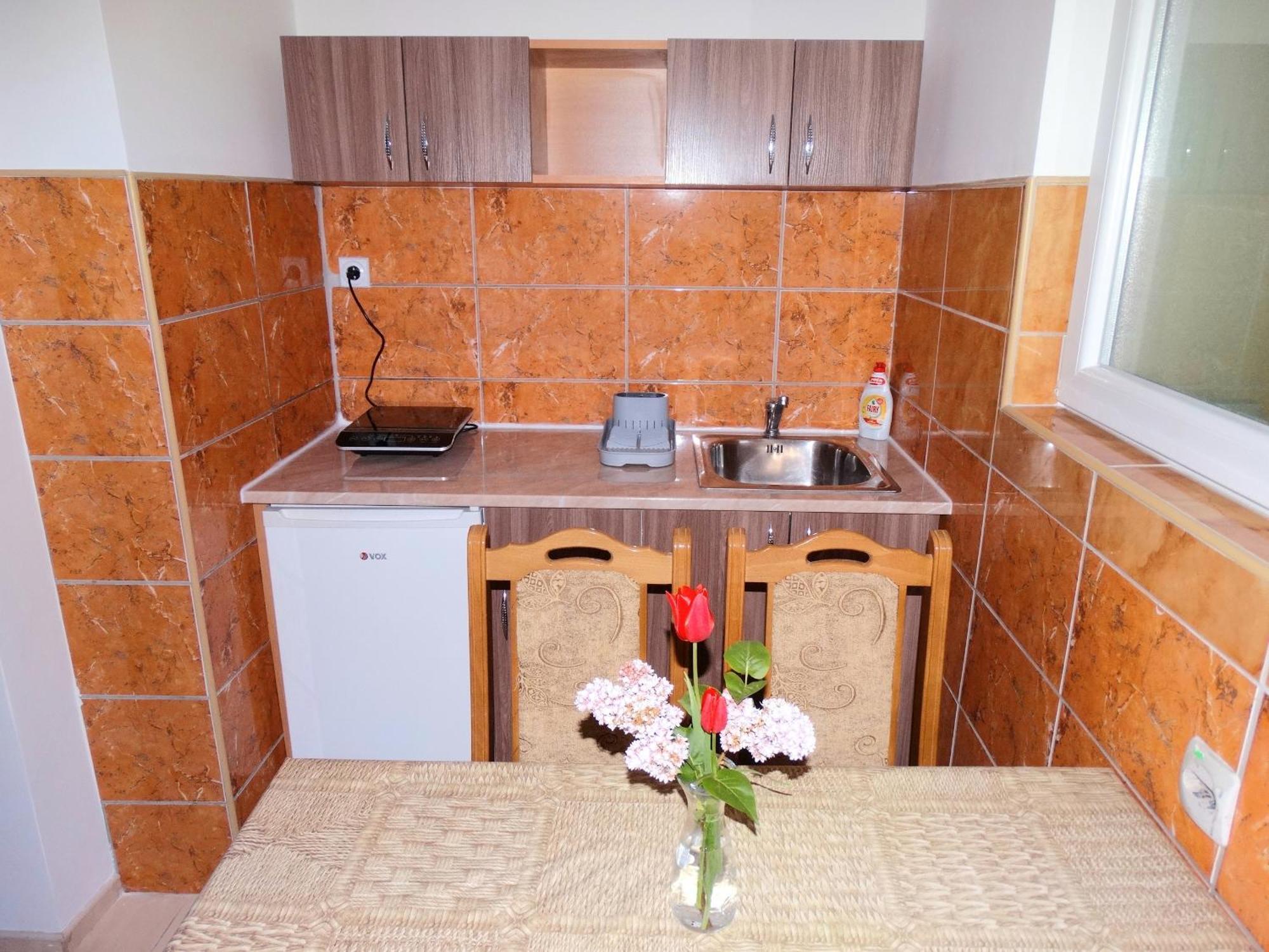 Vila Jenic Sokobanja Exterior foto